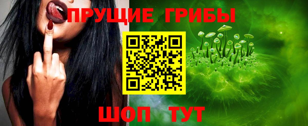 где купить наркоту  Вход с VPN  Ликино-Дулёво  Псилоцибиновые грибы Psilocybine cubensis 